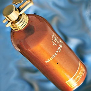 Aoud Melody - Montale