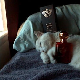 Iris Bleu Gris - Maître Parfumeur et Gantier