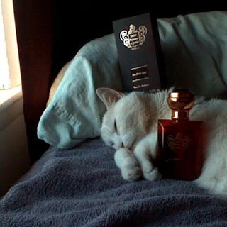 Iris Bleu Gris - Maître Parfumeur et Gantier