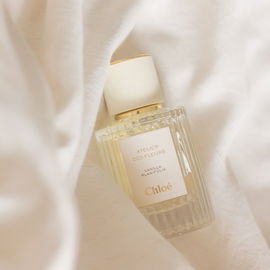 Vanilla Planifolia - Chloé