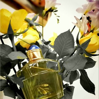 Melted yellow roses...