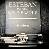 Fossiles Fenster (by Floyd)