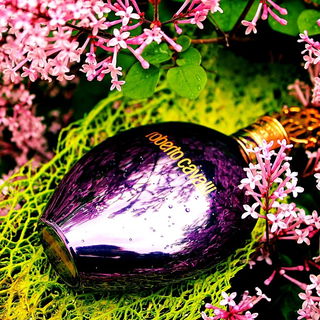 Roberto Cavalli Oud al Qasr - Roberto Cavalli