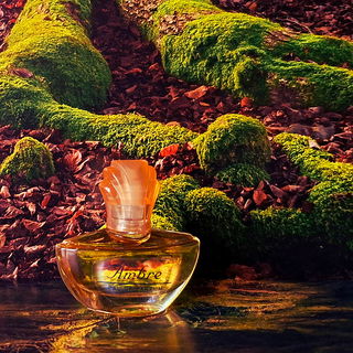 🍁 Lieben Dank für Euren Besuch im verzauberten Herbstwald 🧡