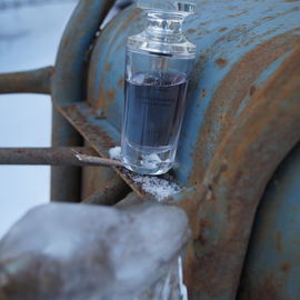 Secrets d'Essences - Iris Noir (Eau de Parfum) - Yves Rocher