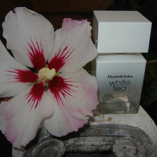 White Tea (Eau de Toilette) by Elizabeth Arden
