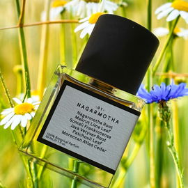 Am erdigen Feldrand, wo die Blumenwiese beginnt – genau dort passt mein Lieblingsduft perfekt.