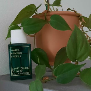 Water | Bamboo | Freesia by Korres
