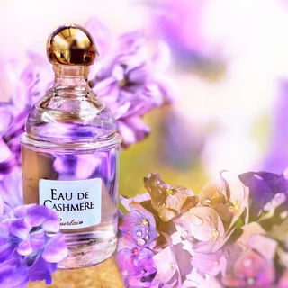 Eau de Cashmere by Guerlain
