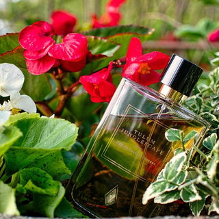 Tulum Junglescape - Simone Andreoli