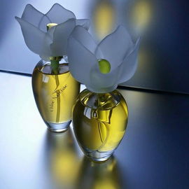 Narcisse (Eau de Toilette) - Chloé