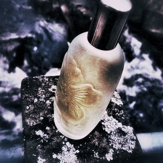 Aromatics Elixir (Perfume) - Clinique