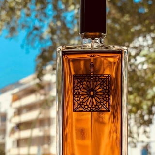 Ambre sultan gravé von Serge Lutens