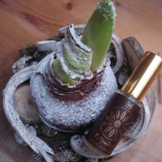 Mon Parfum - M. Micallef