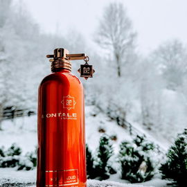 Honey Aoud - Montale