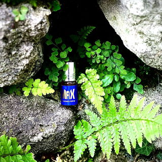 …📷🌍 Thank you. Danke schön. Merci beaucoup. Muchas gracias. Dōmo arigatō gozaimasu 💐…