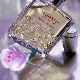 Habanita La Cologne - Molinard