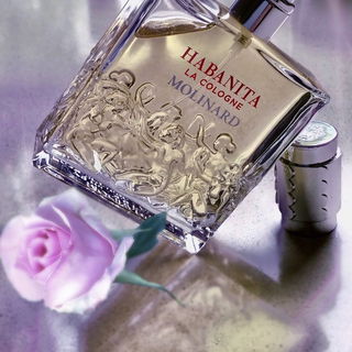 Habanita La Cologne - Molinard