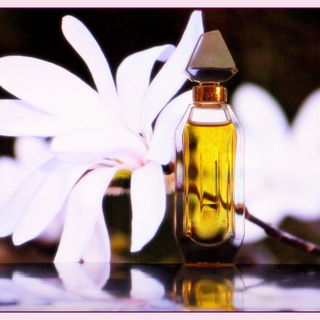 Ysatis (Parfum) - Givenchy