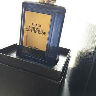 Miracle of the Rose by Prada