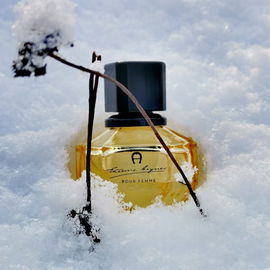... im puren Schnee