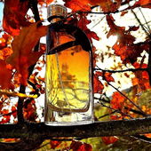 Herbststimmung 🍂🍁 (von Theris)