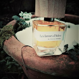 Les Larmes d'Aden by Parfumeurs du Monde