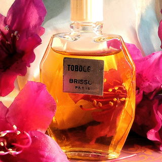 Toboggan von Brisson