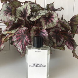 Wood Sage & Sea Salt (Cologne) - Jo Malone