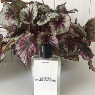 Vetiver Pamplemousse (Eau de Parfum) / N°01 Vetiver Pamplemousse von Zara