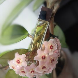 ✿*:･❁ ganz lieben Dank für Euren Besuch ❁ Eure Kommentare freuen mich sehr ❁･:*✿