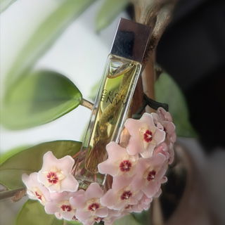 ✿*:･❁ ganz lieben Dank für Euren Besuch ❁ Eure Kommentare freuen mich sehr ❁･:*✿