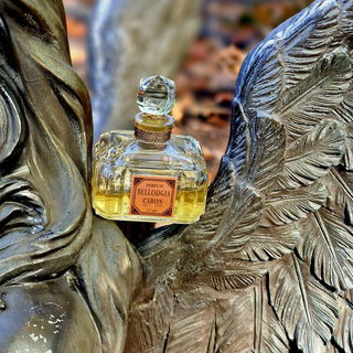 Bellodgia (Parfum) von Caron