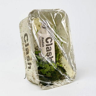 Blamage (Extrait de Parfum) - Nasomatto