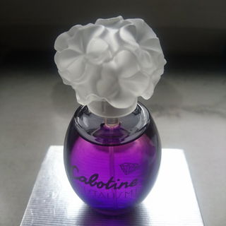 Fleur de Noël 2008 - Yves Rocher