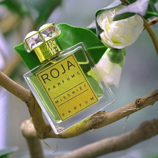 Mischief (Parfum) by Roja Parfums