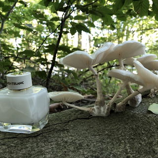 Signature (Eau de Parfum) von Montblanc