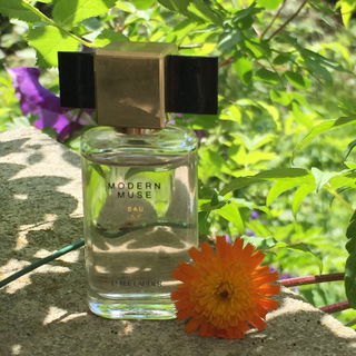 Modern Muse (Eau de Parfum) von Estēe Lauder