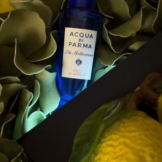 Einer meiner Liebsten, der Fico Di Amalfi von Acqua di Parma.