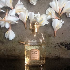 Honeysuckle Rose - Annette Neuffer