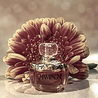 Yvresse (1993) / Champagne (Eau de Toilette) - Yves Saint Laurent