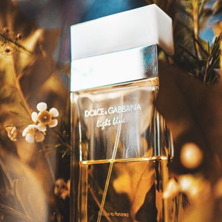 Light Blue Escape to Panarea von Dolce & Gabbana