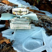 Unfassbare Schönheit kreiert die Natur. (by MonAmour)