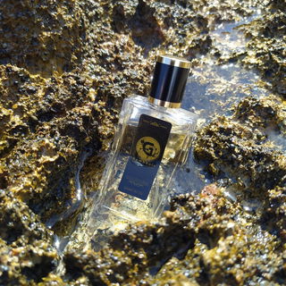 Cambouis - Gaglewski Grasse