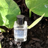 Smells like...... smells like... (by Gold)