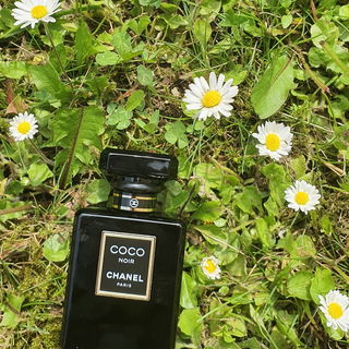 Coco Noir (Eau de Parfum) von Chanel