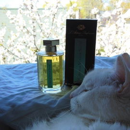 Cœur de Vétiver Sacré - L'Artisan Parfumeur