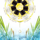 heeley - note de yuzu: it can’t get fresher than that! :) (von Felsn)