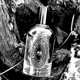 Double Patchouli / Patchouli Indonésien - Phaedon