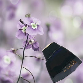 L'Arte di Gucci (Eau de Parfum) - Gucci